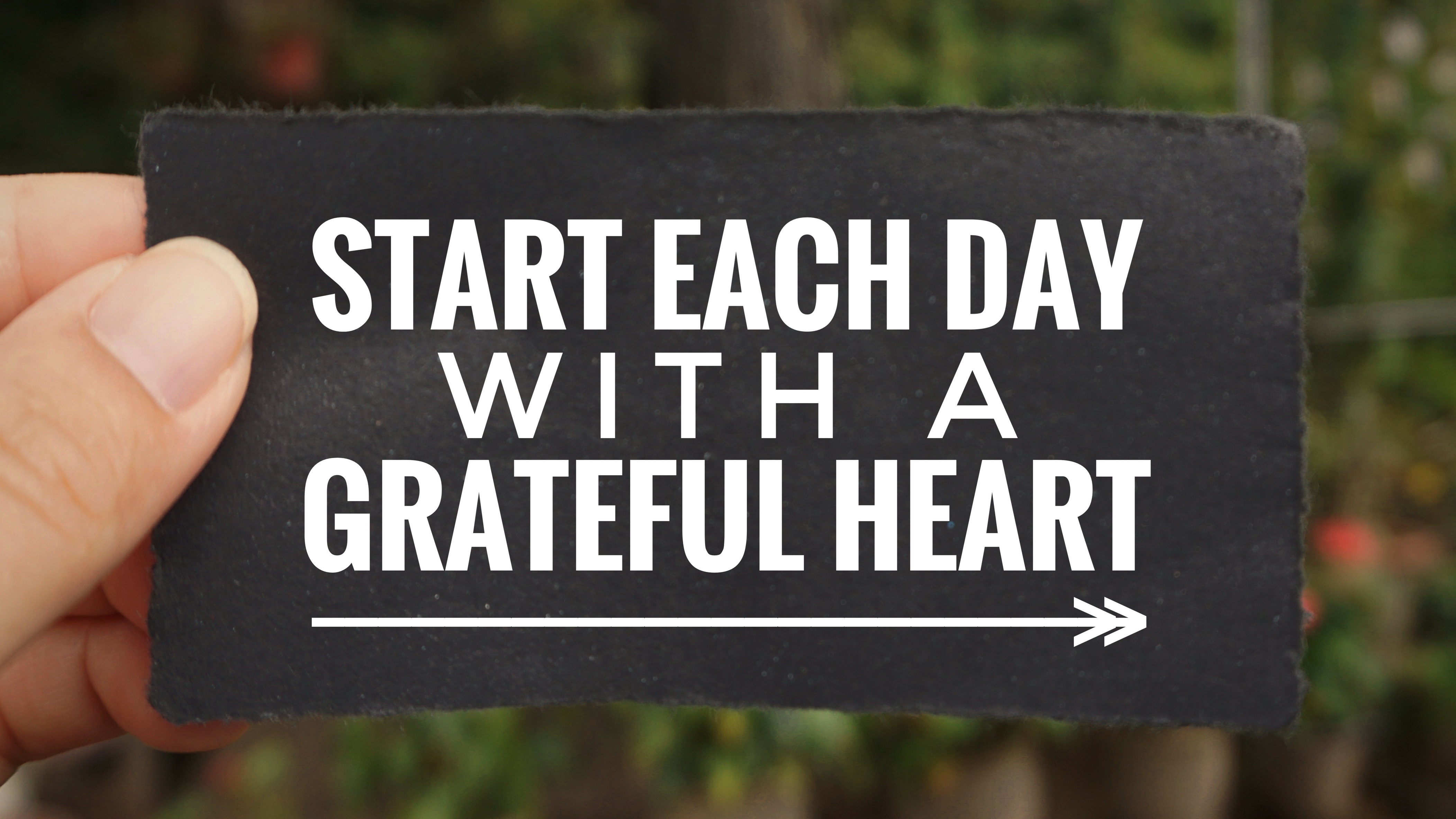 gratitude-quotes-that-can-help-you-feel-grateful-best-health-canada